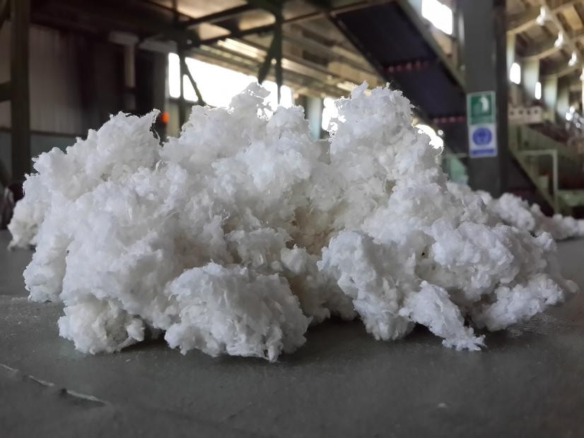 ¿Qué tan bajo pueden caer los precios de la celulosa? Perspectivas para las acciones del sector