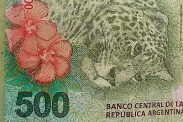 Peso Argentino5 (6)