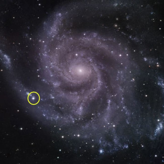 El telescopio de 48 pulgadas del Observatorio Fred Lawrence Whipple capturó esta imagen en luz visible de la galaxia Molinete (Messier 101) en junio de 2023. La ubicación de la supernova 2023ixf est