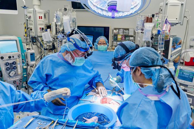Realizan el primer trasplante combinado de bomba cardíaca y riñón de cerdo a una paciente con una enfermedad terminal