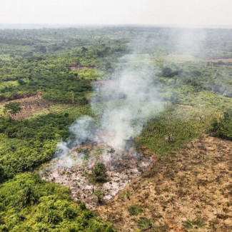 La mayoría de los incendios arden en los bordes de los bosques, donde la actividad humana (incluida la deforestación) es más común.