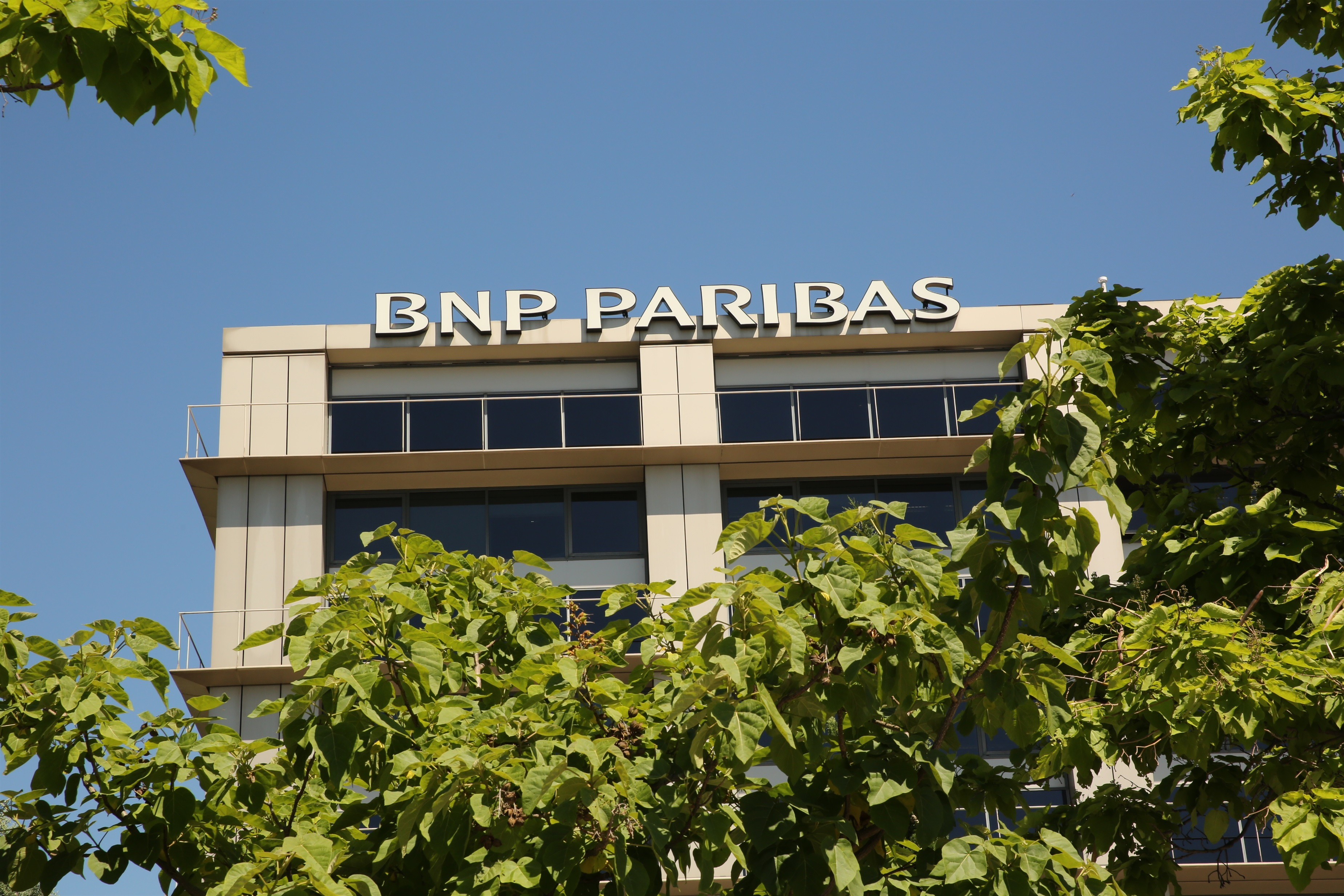BNP Paribas ganó un 34% más en 2021 y eleva al 60% el 'pay out' en su ...