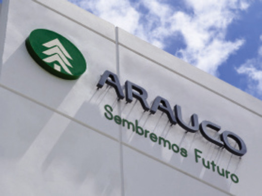 Celulosa arauco 3