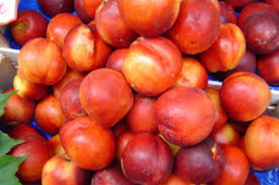 Nectarines ok