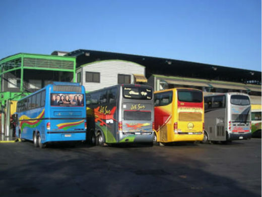 BUSES WEB