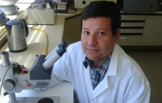 Dr rodrigo diaz ok
