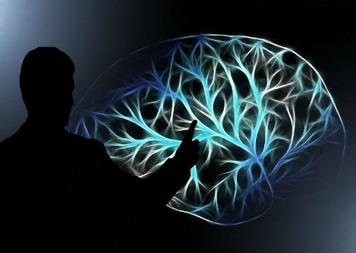 Cerebro ok