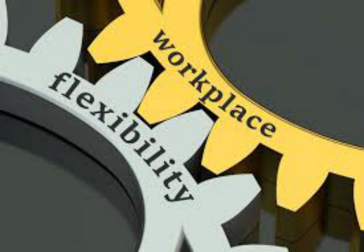 Flexibilidad laboral ok