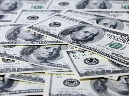 Dolar 15