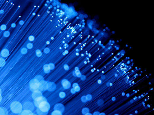 Fibra optica web