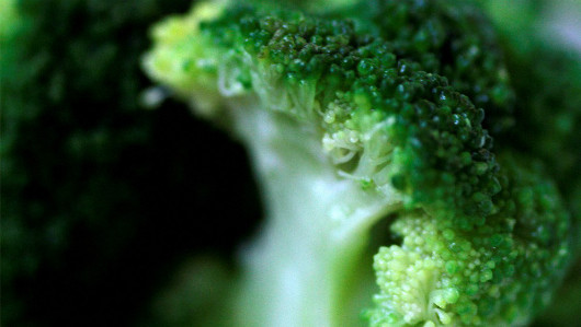 Brocoli Web