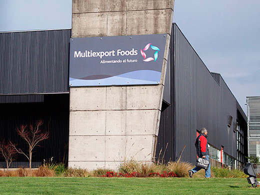 Multiexport Foods