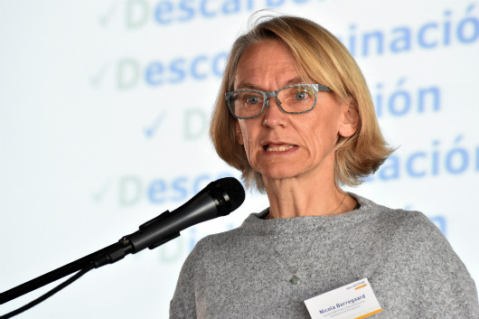 Nicola Borregard Escenarios Energu00e9ticos 1