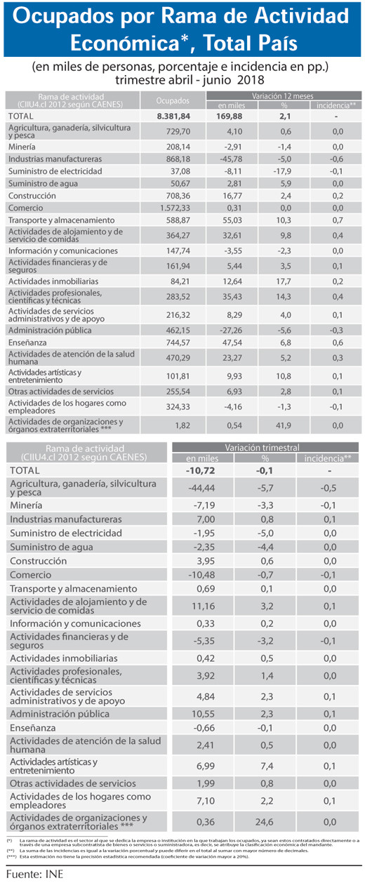 Ocupados por rama