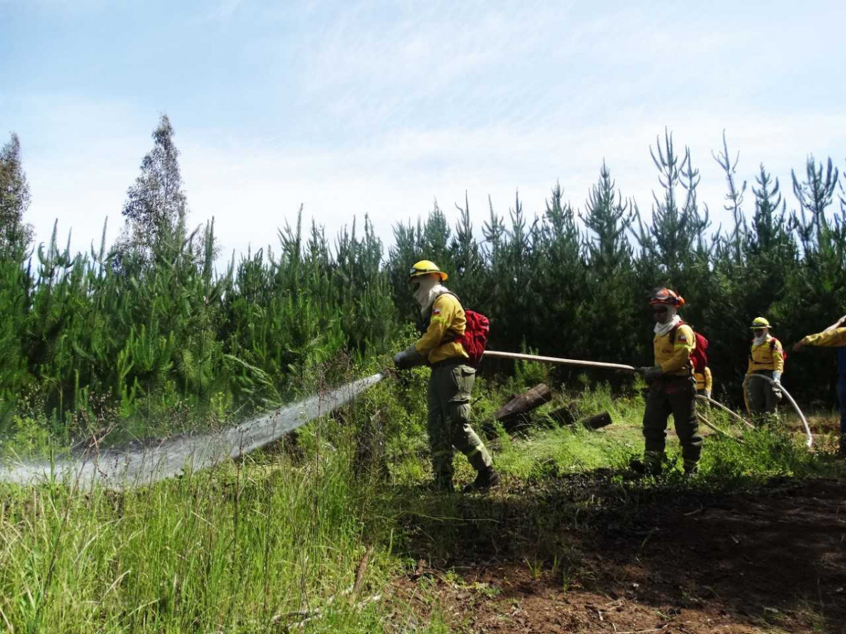Brigadistas forestales (empresas)