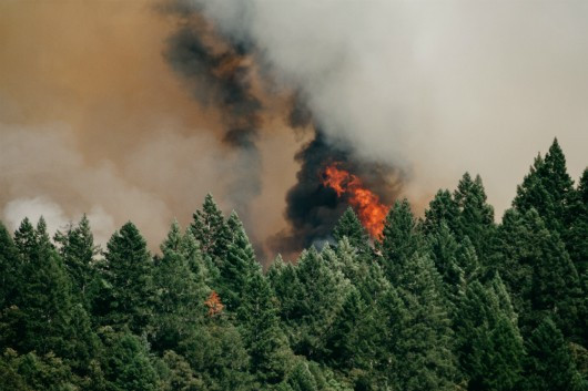 Incendio forestal