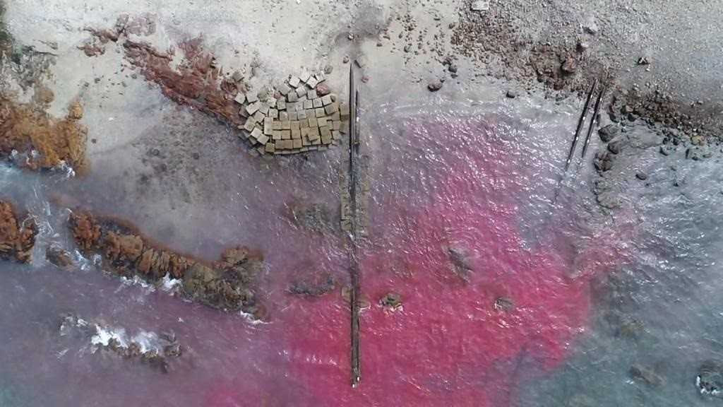 Contaminaciu00f3n (Riles)