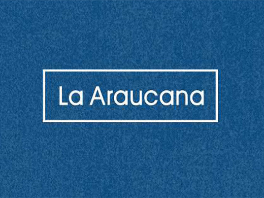 La Araucana