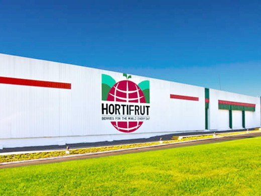 Hortifrut