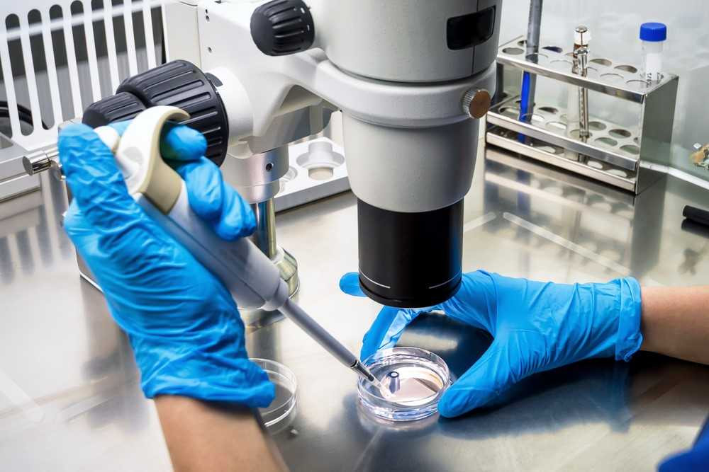 Laboratorio
