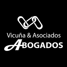 Vicuu00f1a y Asociados