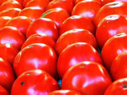 Tomatoes33