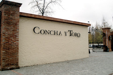 Concha y toro