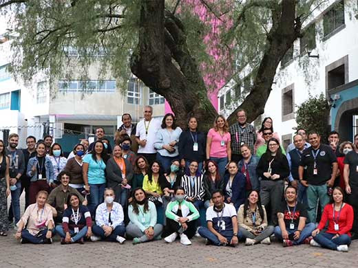 Swarmob Meu0301xico