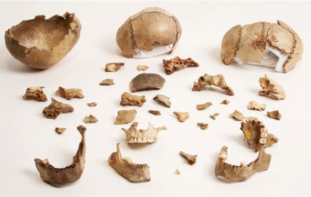 Restos humanos del Paleolítico de los que se ha obtenido ADN