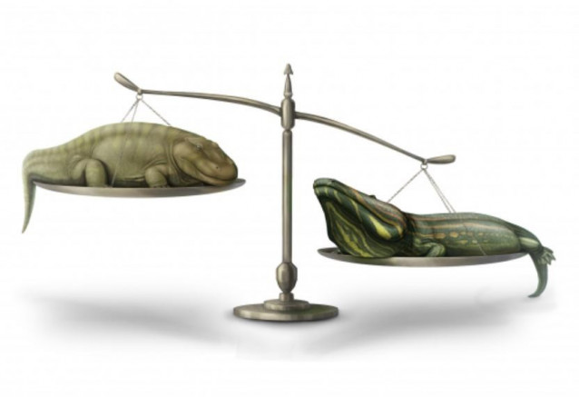 Reconstrucción artística de Eryops megacephalus (izquierda) y Paracyclotosaurus davidi (derecha).