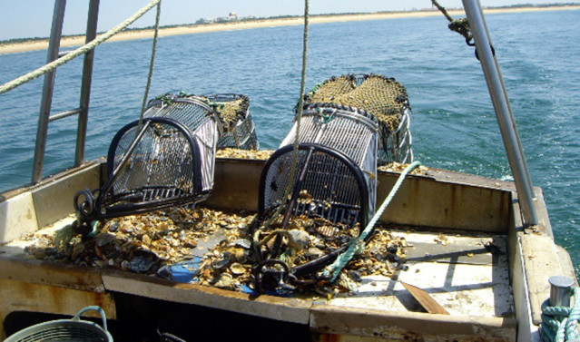Archivo - Pesca, barcos pesqueros