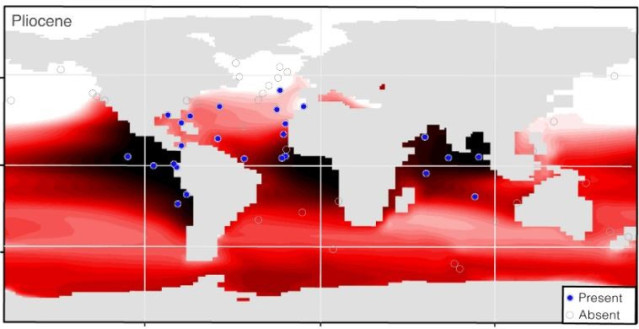 Distribución del foraminífero planctónico G. Hexagonus afiliado a bajo oxígeno y del oxígeno a ~600 m en los océanos modernos y del Plioceno.