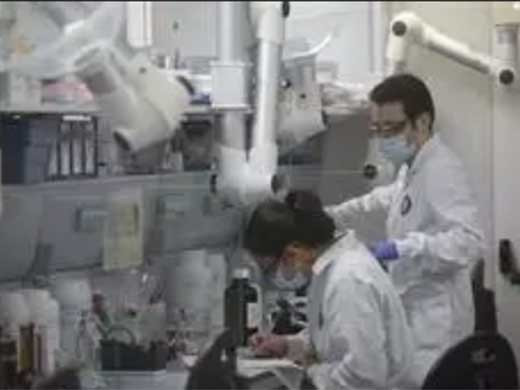 LAB. REIG
