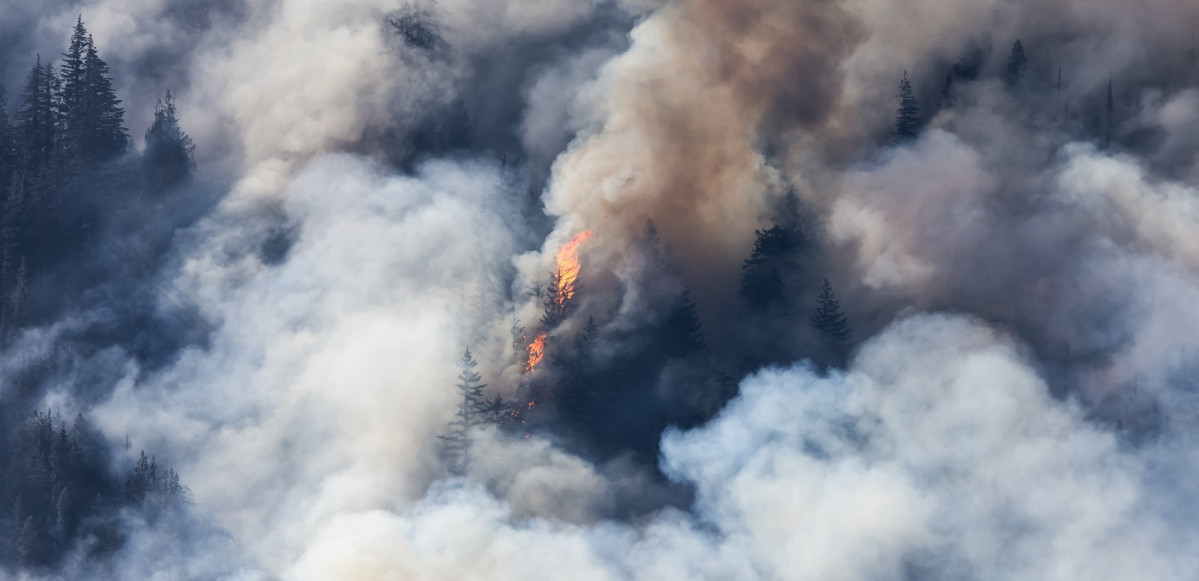 Incendio Forestal foto referencial