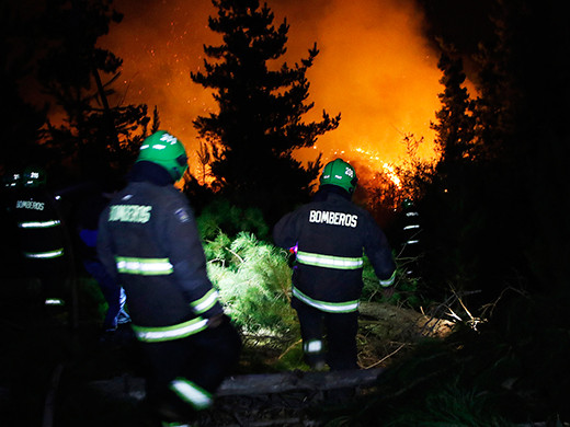 Incendio forestal2