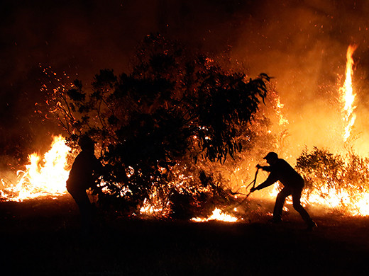 Incendio forestal5