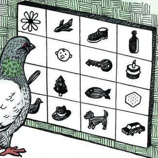 Mediante el aprendizaje asociativo, el picoteo de una paloma puede reflejar la alta tecnología.
