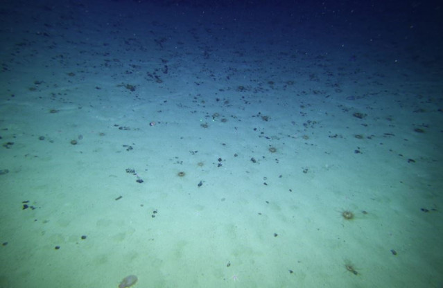 Lecho marino abisal