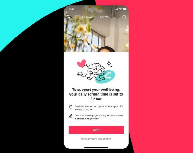 Interfaz de aviso de TikTok, que aparece una vez superados los 60 minutos de uso diarios