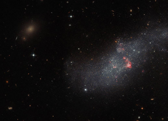 UGCA 307
