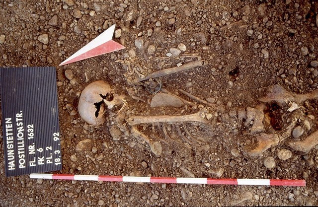 Archivo - Restos humanos del Neolítico