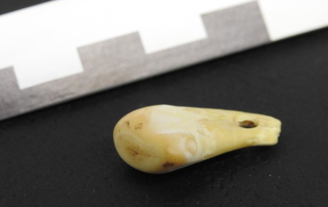 El diente de alce contenía ADN de una mujer que vivió hace entre 19.000 y 25.000 años.