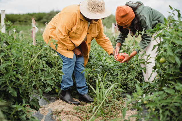 Archivo - Agricultores