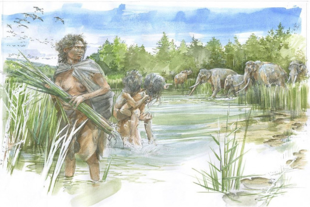 Así es como podría haberse visto en Schöningen hace unos 300.000 años.