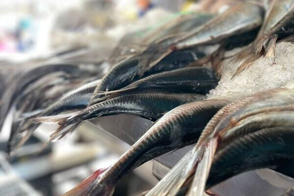 Pescados