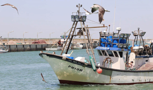 Pesca marítima en Andalucía.