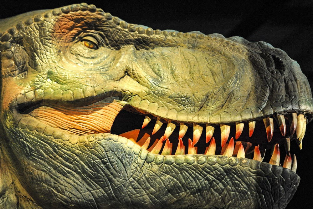 Dinosaurios1 (1)