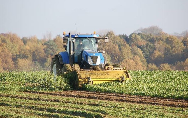 Una de las herramientas más prometedoras para ayudar a mitigar el cambio climático, el biocarbón se puede producir a partir de muchos desechos verdes urbanos diferentes.