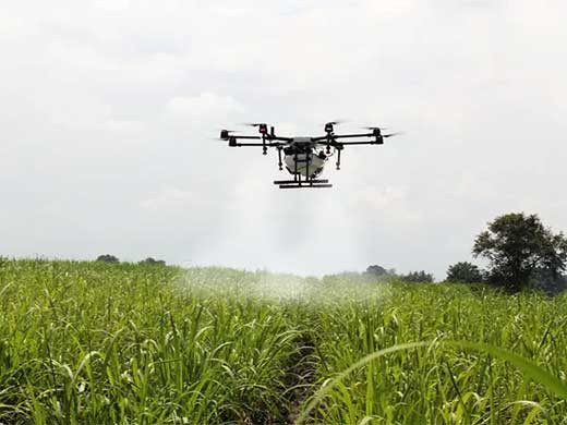 Dron