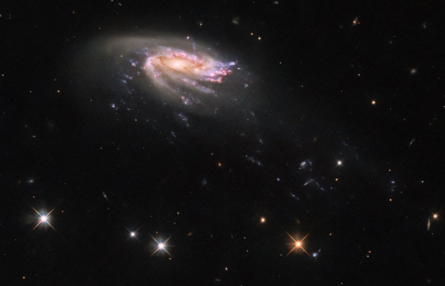 Galaxia medusa JO206
